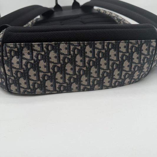 It Dior Saddle Backpack with Flap