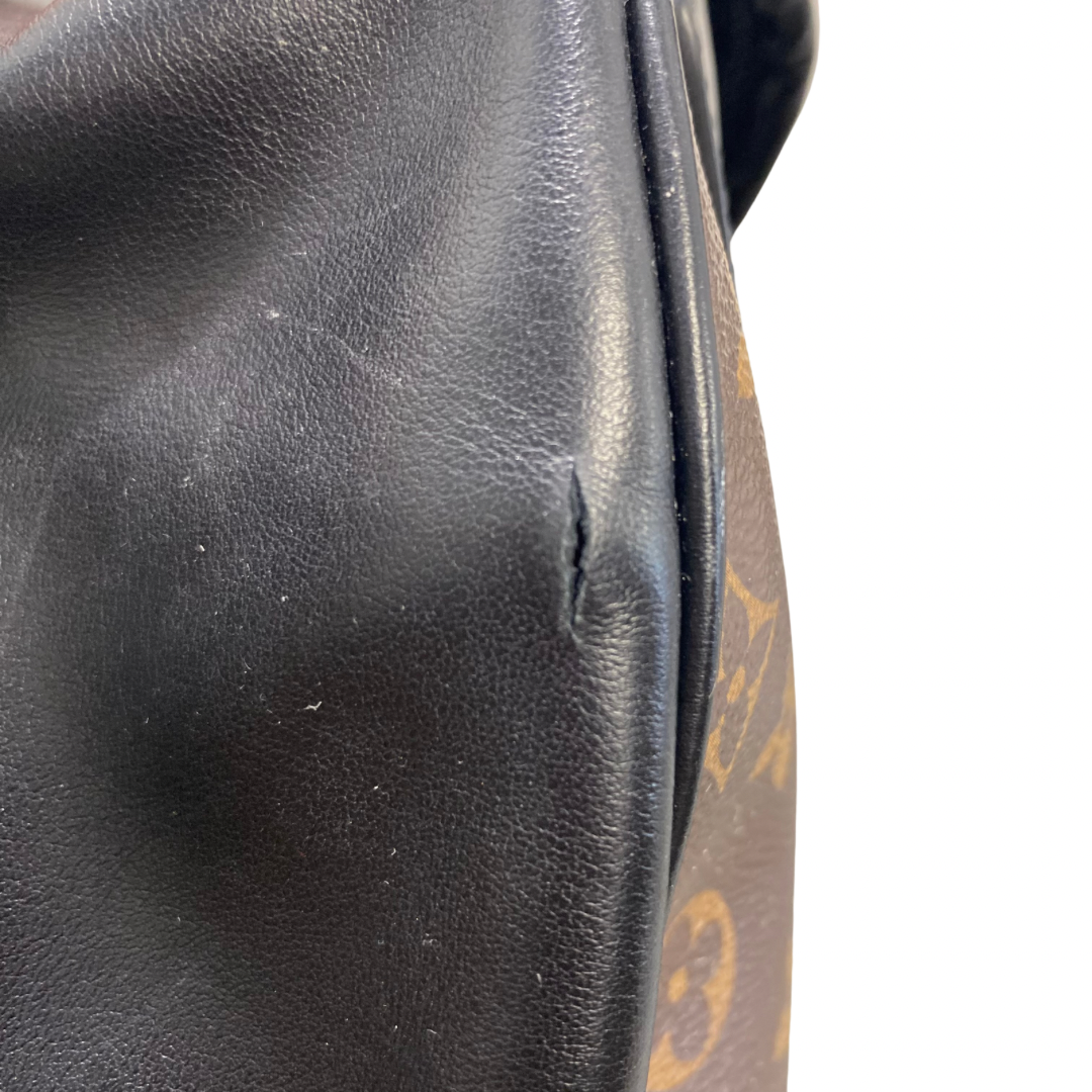 Louis Vuitton Josh  Backpack