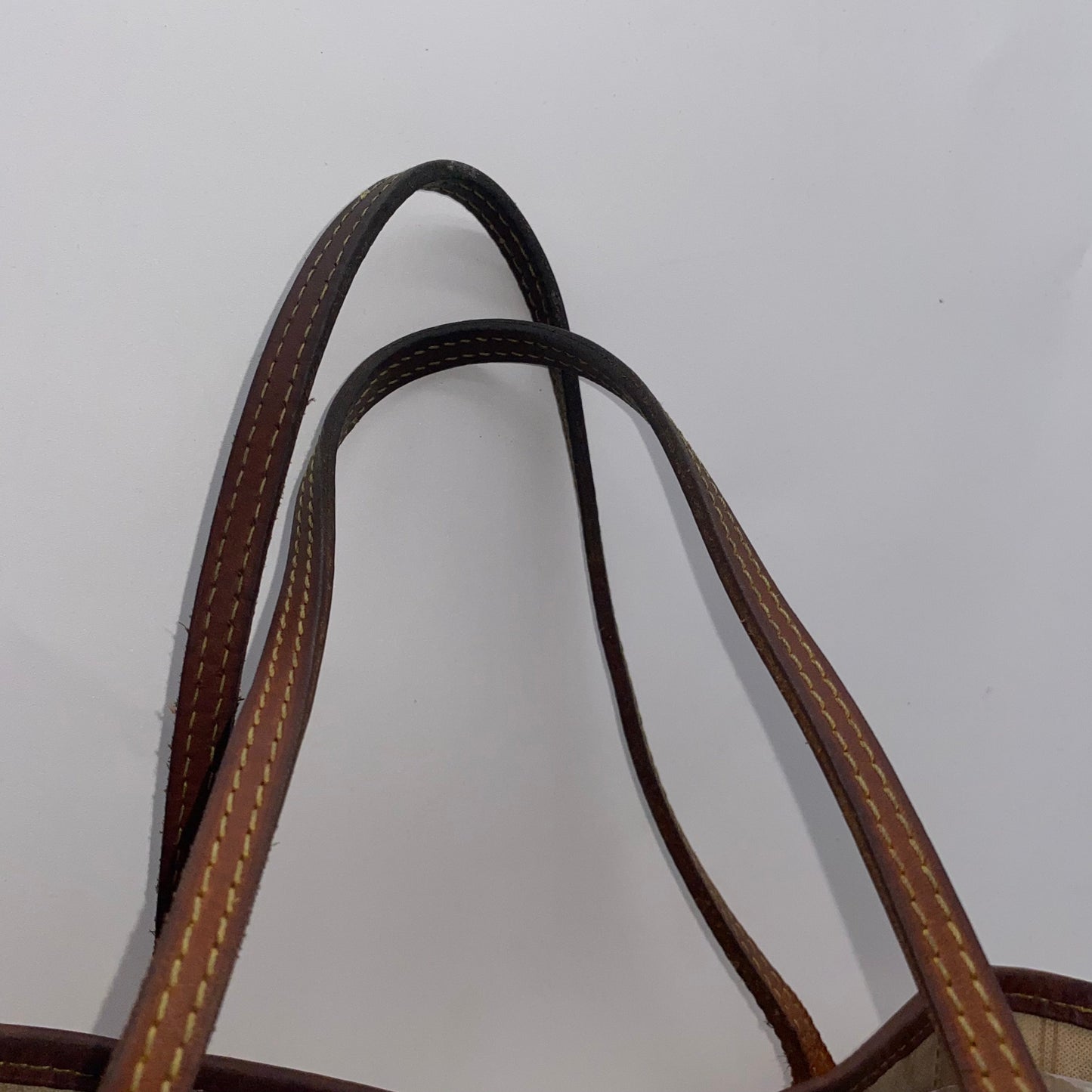 Louis Vuitton Neverfull PM